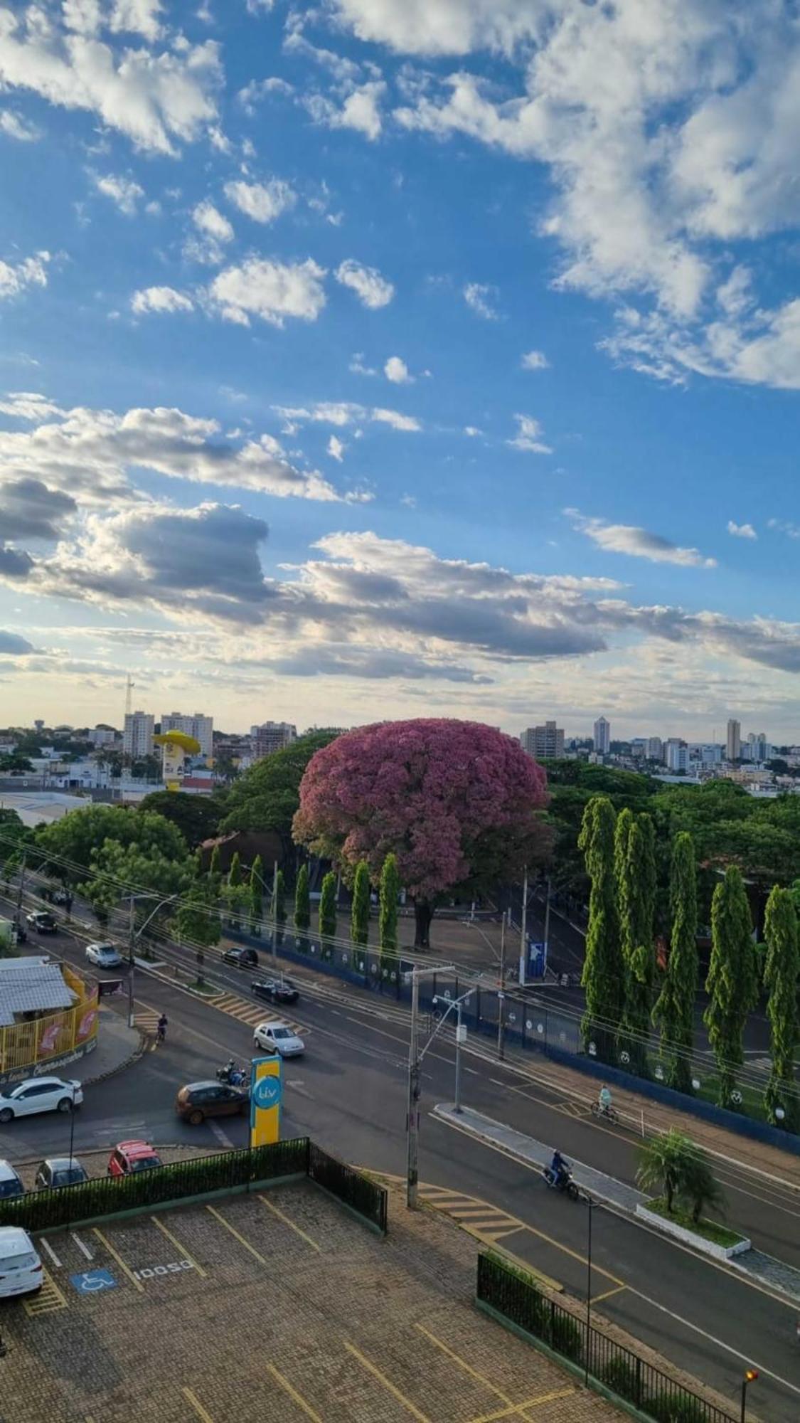 Hotel Golden Park Uberaba By Nacional Inn Chambre photo